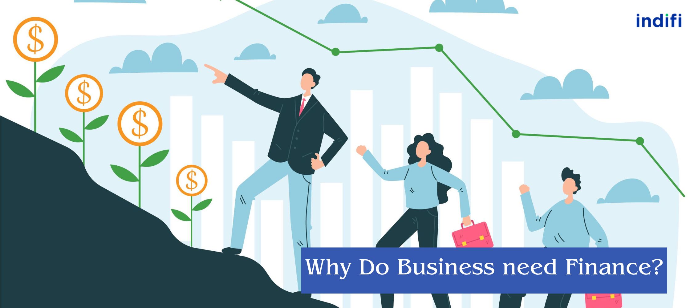 Why do Business need Finance?